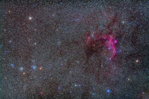 M50 - M46/M47 Area Bino Field