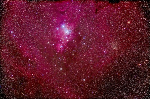 NGC 2264 Christmas Tree Cluster & Cone Nebula