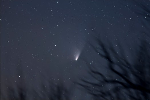 Comet PANSTARRS (March 31, 2013)
