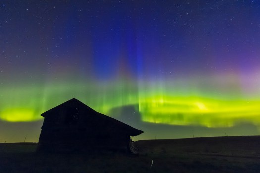 Aurora with Blue Curtains #3 (May 17-18, 2013)