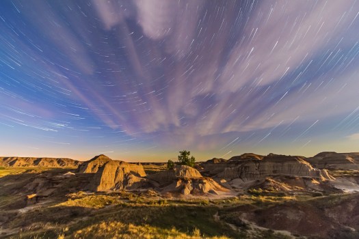 Dinosaur Park Star Trails (May 26, 2013)