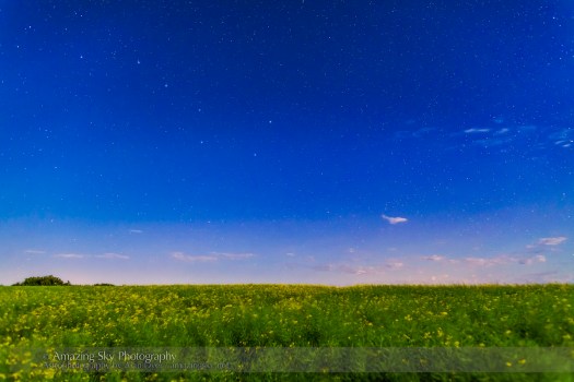 Big Dipper over Canola Field #2 (July 26, 2013)