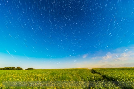 Circumpolar Star Trails over Canola Field (July 26, 2013)