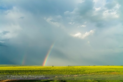 Double Rainbow over Canola Field