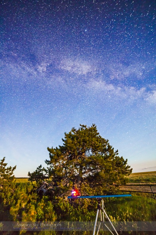 Shooting the Survivor Tree (July 15, 2013)