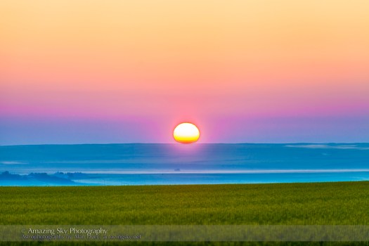 Sunrise on a Canola Field (July 9, 2013)