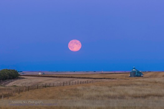Harvest Moonrise #2 (Sept 19, 2013)