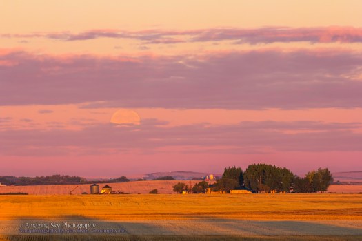 Harvest Moonset at Dawn (Sept 19, 2013)