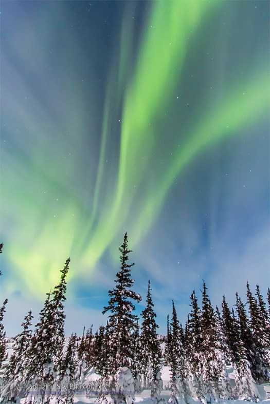 Aurora - Feb 9, 2014 (Snowy Trees #2)