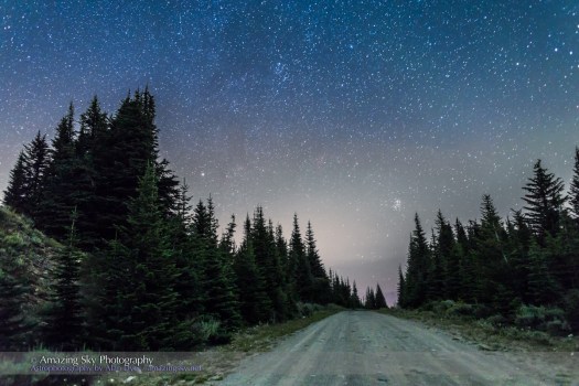 Pleiades Rising Down the Road
