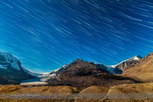 Star Trails over Columbia Icefields