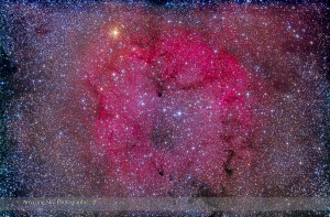 IC 1396 & Garnet Star in Cepheus