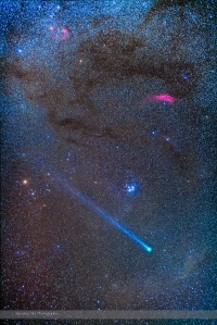 Comet Lovejoy's Long Ion Tail in Taurus