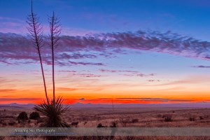 Mercury & Venus in Close Conjunction (Jan. 10, 2015)