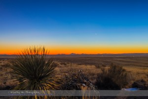 Mercury & Venus in Twilight (Jan 4, 2015)