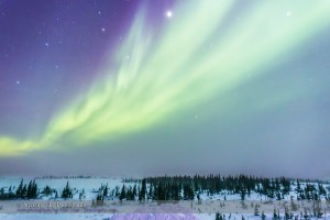 Aurora from Churchill #1 (Feb 20, 2015)