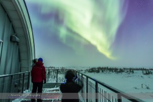 Aurora from Churchill #4 (Feb 20, 2015)