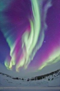Auroral Curtains in Green & Magenta #2