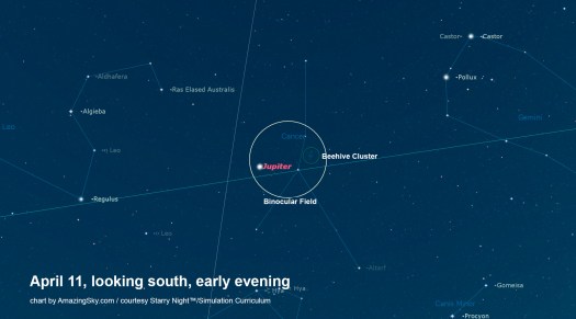 April 11 Jupter & M44