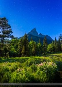 Alpine flowers in the moonlight at Red Rock Canyon, in Waterton Lakes National Park, with the scene lit by light from the waxing gibbous Moon. The “Matterhorn” style peak is Anderson Peak. This is a blend of two exposures: 30 seconds for the sky and 50 seconds for the ground, all with the 24mm lens at f/5 and Canon 6D at ISO 3200.