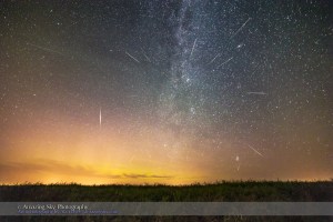The Perseid meteor shower on peak night of Wednesday, August 12, 2015, showing meteors radiating from the “radiant point” in northern Perseus, then rising in the northeast sky. One bright sporadic, non-Perseid meteor is at left, and a small sporadic is near the horizon at right. The meteor at far left, top, may be a satellite streak.  The Andromeda Galaxy is at upper right. A dim aurora is at left in the northeast. The setting is a ripening canola field at home.  This is a stack of 16 images, one for the “base layer” ground and sky, containing a bright meteor, and 15 other images taken as part of the same sequence, each containing a meteor, layered with Photoshop using Lighten blend mode. I rotated each of the additional “meteor layers” around Polaris at upper left, so the sky aligned closely, putting the meteors in close to their correct position relative to the stars, to accurately illustrate the radiant effect. This was necessary as this sequence was shot with a fixed, non-tracking camera (the Canon 6D) using a 14mm Rokinon lens at f/2.8. Each exposure was 1 minute at ISO 3200. The 16 meteor frames came from a set of 212 frames taken over 3.5 hours. I layered in only the frames with meteors.  Frames were taken from 11 pm to 2:30 am MDT.