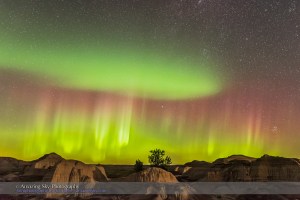 The Northern Lights over the badlands of Dinosaur Provincial Park, Alberta, on September 11, 2015. This is one frame from a 280-frame time-lapse sequence. Although, in this image the ground came from a later exposure in the sequence when passing car headlights lit the ground briefly on an otherwise dark, moonless night, to help sculpt the ground. This was with the Nikon D750 and 24mm lens for 15 seconds at f/2.8 and ISO 6400.