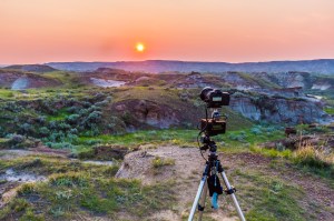 eMotimo at Dino Park #1