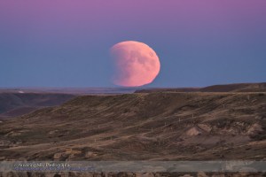 The Full Moon rising in partial eclipse on the night of September 27, 2015, night of a total eclipse that began with the partial phase in progress at moonrise from my location. The pink Belt of Venus colours the sky at top. The Moon sits in the blue shadow of the Earth, which also partly obscures the disk of the Moon. I shot this from Writing-on-Stone Provincial Park, Alberta. This is through the TMB 92mm refractor for a focal length of 550mm using the Canon 60Da at ISO 400 for 1/250 second.