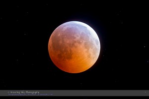 Total eclipse of the Moon, December 20/21, 2010, taken from home with 130mm AP apo refractor at f/6 and Canon 7D at ISO 400 for 4 seconds, single exposure, shortly after totality began.