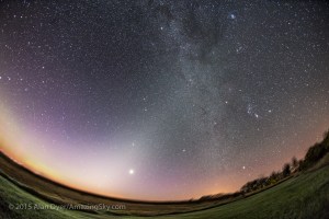 Venus shines brightly, and nearly at its brightest at magnitude -4.7, in the dawn sky on a very frosty morning at 5 am, on September 17, 2015, from home in southern Alberta. Venus appears amid the faint glow of the Zodiacal Light, sometimes called the โFalse Dawn,โ stretching vertically from the dawn horizon in the east, up and to the right, and reaching the Milky Way that runs down the frame from top centre to bottom right. Orion and the winter stars shine in the Milky Way, with Sirius above the trees at lower right. The Beehive Cluster, M44, appears as the small group of stars above Venus. The Pleiades, M45, is at top right. Mars is the brightest object left of Venus, with the bright star Regulus just below it and rising in the east. The stars of the Big Dipper are at far left at the edge of the frame. The sky is beginning to brighten with the real glow of morning. This is a stack of 4 x 2-minute exposures, tracked and mean combine stacked, for the sky and 2 x 2-minute exposures, untracked and stacked, for the ground to minimize blurring in the starlit ground. The Canon 6D was on the iOptron Sky-Tracker, shooting at ISO 1250 with the 15mm full-frame fish-eye lens at f/3.5. The stacking with a mean combine stack mode smooths noise in both sky and ground.