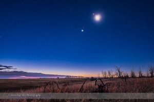 The waning crescent Moon below Jupiter, with that pair of worlds above the pairing of Venus (bright) and red Mars (just above Venus), all in the dawn sky, November 6, 2015.  This is a composite of 4 exposures: 30 seconds for the ground (to bring out detail there), 8 seconds for the sky (short enough to prevent star trailing), and 2 and 1/4 seconds for the Moon itself to prevent it from being totally blown out as a bright blob. All with the Nikon D750 at ISO 1600 and Sigma 24mm Art lens at f/4. Taken from home.