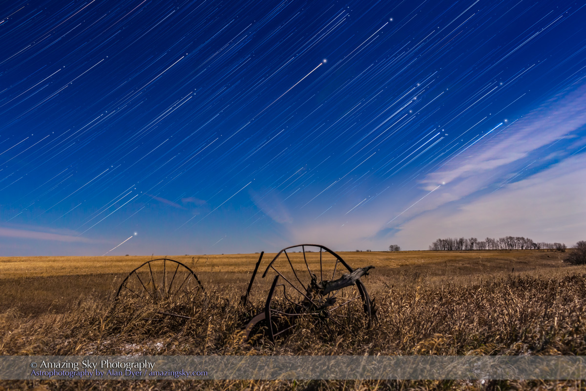 Orion Rising in the Moonlight