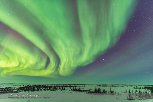 Aurora with Leo and Jupiter Rising (Feb 5, 2016)