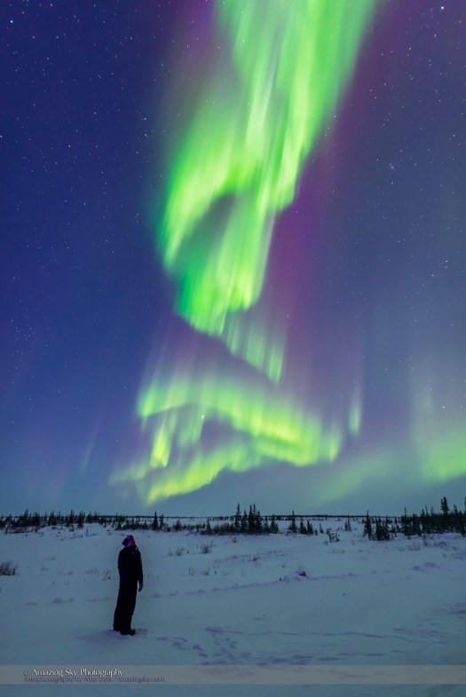 Aurora Watcher with Twilight Curtains (March 6, 2016)