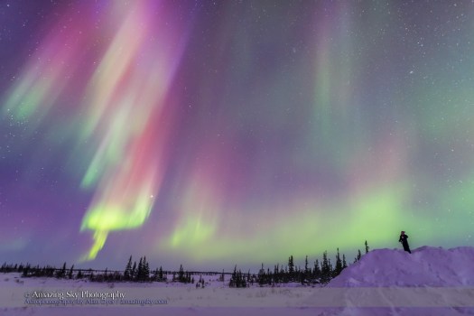 Gazing at a Colourful Twilight Aurora