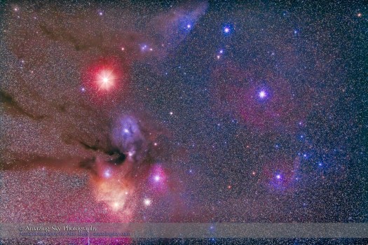 Red Rivals in Scorpius