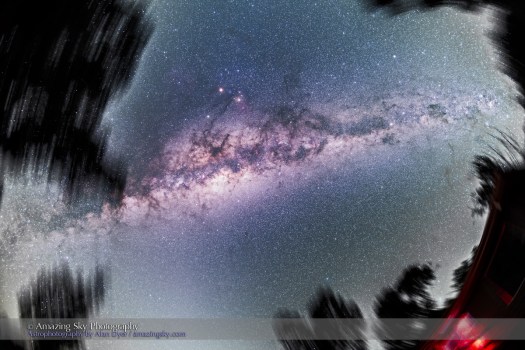 Milky Way Overhead Through Trees