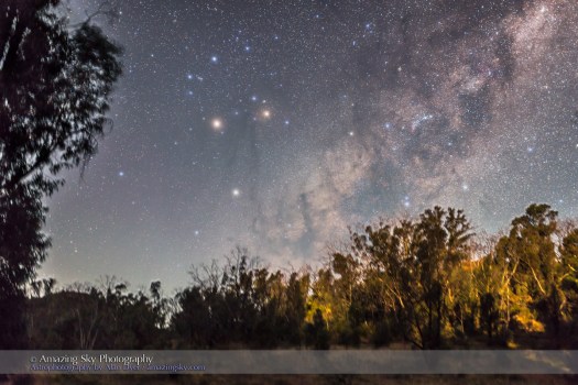 Scorpius Rising in Moonlight