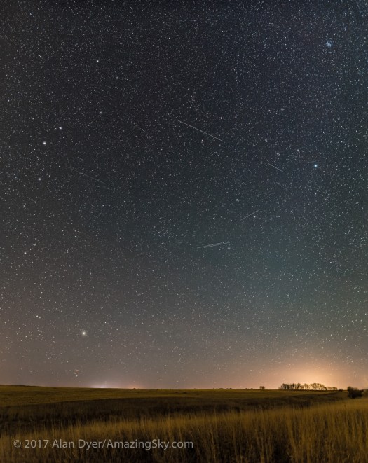 Leo and the Spring Stars Rising