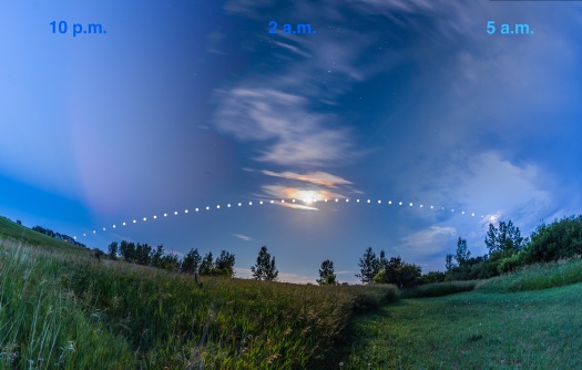 Arc of the Summer Moon
