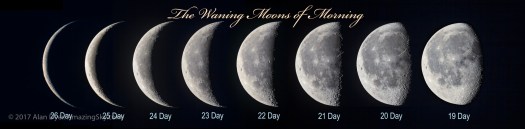 Waning Moon in the Morning Series (with Labels)