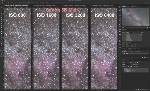 5D MkII at Four ISOs
