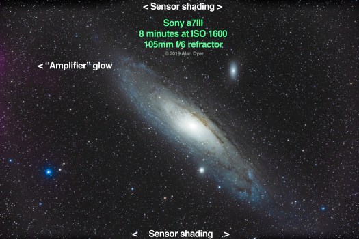 New Sony Blog Example