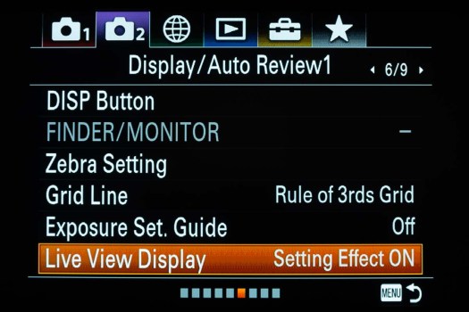 Sony-LiveViewDisp