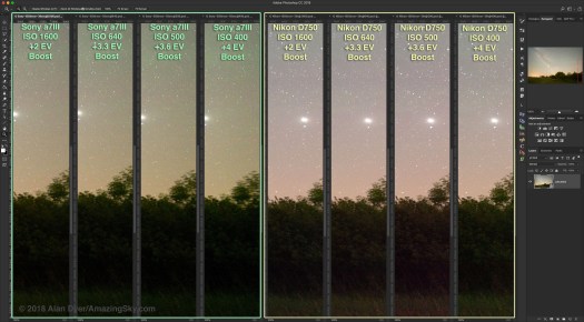 Sony vs Nikon ISO Invariancy (Dark Sky)