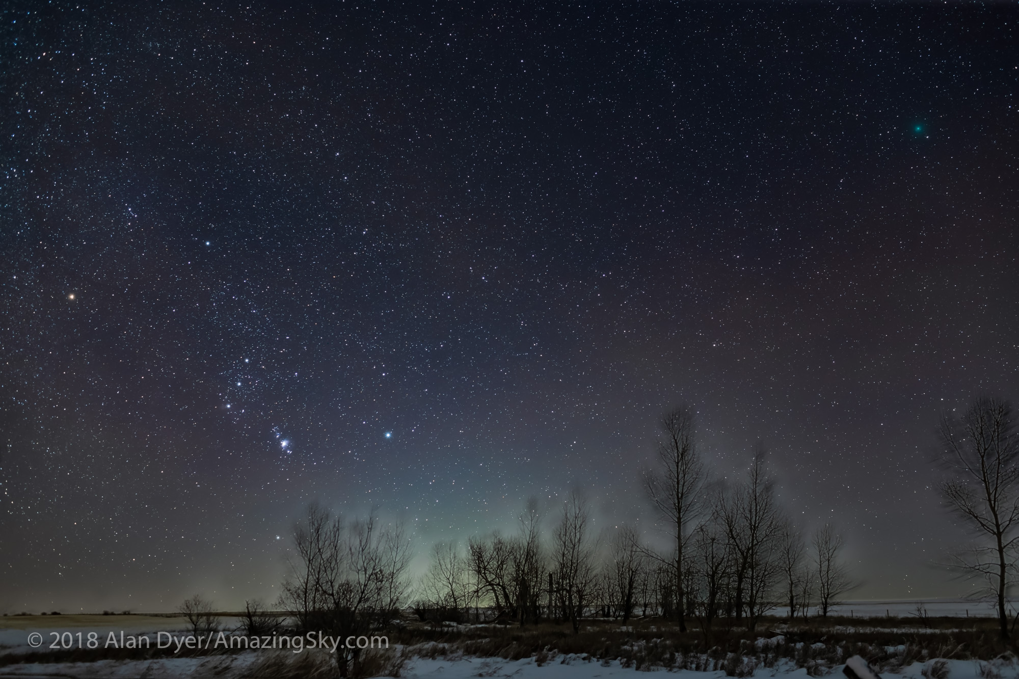 Winter Green Comet with Orion
