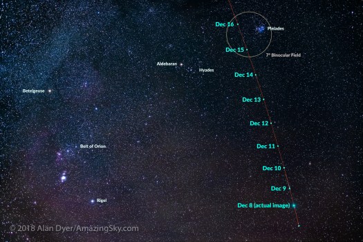 Comet Wirtanen Path Dec 8 to 16
