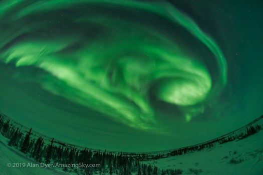 Auroral Arcs, Loops and Swirls (Feb 5, 2019) #5 of 5