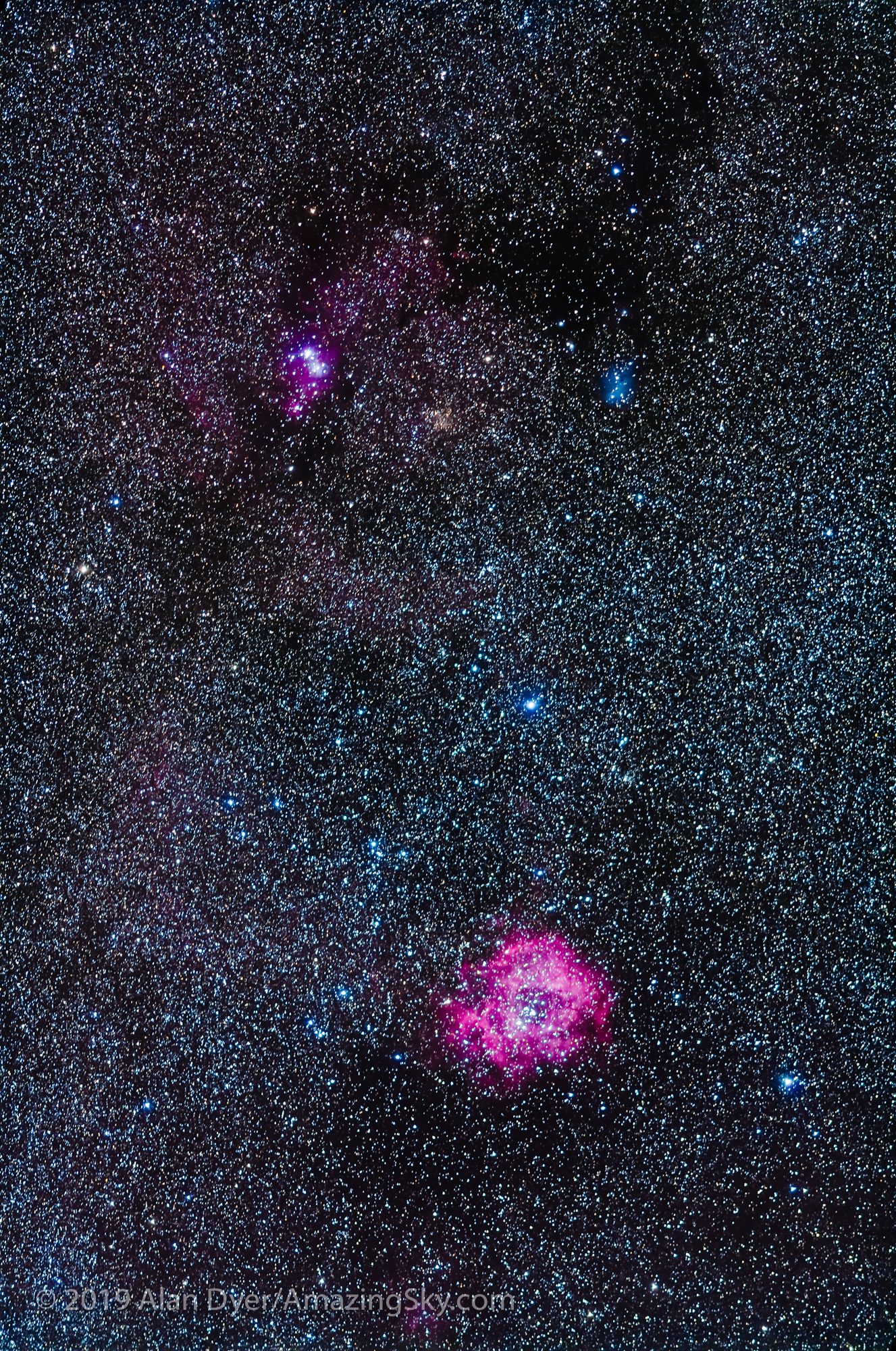 Rosette and Christmas Tree Cluster with 200mm