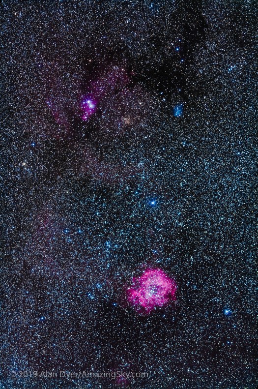 Rosette and Christmas Tree Cluster with 200mm